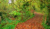Tour Wandern Corcy - en forêt de Retz_58_le bois de Hautwison - Photo 2