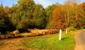Tocht Stappen Corcy - en forêt de Retz_58_le bois de Hautwison - Photo 5