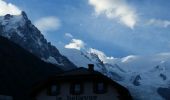 Trail Walking Chamonix-Mont-Blanc - CHAMONIX (Signal Forbes) - Photo 9