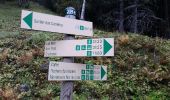 Trail Walking Chamonix-Mont-Blanc - CHAMONIX (Signal Forbes) - Photo 8