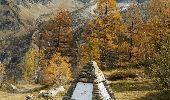 Trail Walking Chamonix-Mont-Blanc - CHAMONIX (Signal Forbes) - Photo 4