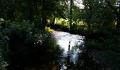 Trail Walking Rochefort - LAVAUX-Ste-ANNE (Le Merdier) - Photo 2