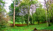 Excursión Senderismo Noroy-sur-Ourcq - en forêt de Retz_59_le bois de Cresnes - Photo 16