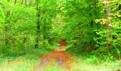 Trail Walking Noroy-sur-Ourcq - en forêt de Retz_59_le bois de Cresnes - Photo 7