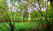 Tocht Stappen Noroy-sur-Ourcq - en forêt de Retz_59_le bois de Cresnes - Photo 15
