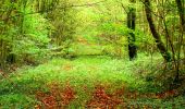 Tocht Stappen Noroy-sur-Ourcq - en forêt de Retz_59_le bois de Cresnes - Photo 13