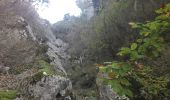 Trail Walking Anglefort - les sarrasins - Photo 3