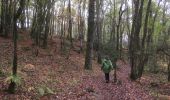 Excursión Senderismo Paimpont - 2017-10-29 tombeau de merlin fontaine de jouvence BROCELIANDE - Photo 5