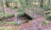 Randonnée Marche Paimpont - 2017-10-29 tombeau de merlin fontaine de jouvence BROCELIANDE - Photo 4