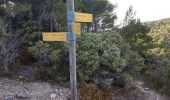 Trail Walking Saumane-de-Vaucluse - saumane  - Photo 3