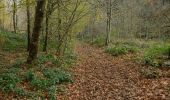 Trail Walking La Roche-en-Ardenne - Celtes et Ourthe - Photo 4
