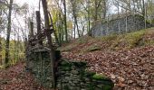 Trail Walking La Roche-en-Ardenne - Celtes et Ourthe - Photo 3