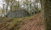 Trail Walking La Roche-en-Ardenne - Celtes et Ourthe - Photo 2