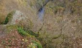 Trail Walking La Roche-en-Ardenne - Celtes et Ourthe - Photo 1