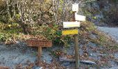 Trail Walking La Tour-en-Maurienne - Le Châtel : sentier botanique des Plagnes - Photo 14