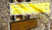 Tour Wandern La Tour-en-Maurienne - Le Châtel : sentier botanique des Plagnes - Photo 9