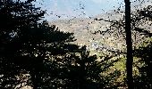Tocht Stappen La Tour-en-Maurienne - Le Châtel : sentier botanique des Plagnes - Photo 6