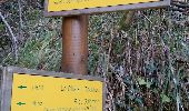 Trail Walking La Tour-en-Maurienne - Le Châtel : sentier botanique des Plagnes - Photo 4