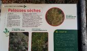 Tocht Stappen La Tour-en-Maurienne - Le Châtel : sentier botanique des Plagnes - Photo 3