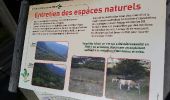 Randonnée Marche La Tour-en-Maurienne - Le Châtel : sentier botanique des Plagnes - Photo 1