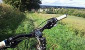 Percorso Mountainbike Saint-Pierre-de-Chandieu - autour de la ferme de savoye vers luzinay - Photo 2