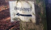 Excursión Otra actividad Attert - Nobressart-Burgknapp - Photo 10