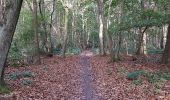 Trail Walking Champagne-sur-Oise - polissoir et trou à morts - Photo 18