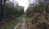 Trail Walking Champagne-sur-Oise - polissoir et trou à morts - Photo 12