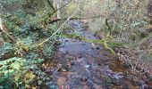 Randonnée Marche Roussillon-en-Morvan - 171025 EnCours - Photo 10