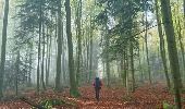 Excursión Senderismo Roussillon-en-Morvan - 171025 EnCours - Photo 7