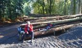 Excursión Senderismo Roussillon-en-Morvan - 171025 EnCours - Photo 3