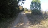 Trail Walking Entre-Vignes - les châteaux du muscat de Lunel - Photo 15