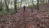 Trail Walking Ploërmel - 2017-11-01 LA CHATOULLETTE - Photo 1