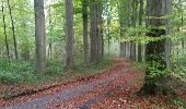 Trail Walking Beauvechain - Boucle 2 Hamme Mille - Photo 4