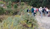 Trail Walking Bormes-les-Mimosas - chartreuse - Photo 1