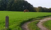 Tocht Stappen Bevekom - Boucle 2 Hamme Mille - Photo 11