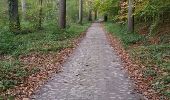 Tocht Stappen Bevekom - Boucle 2 Hamme Mille - Photo 9