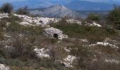 Trail Walking Courmes - St-Barnabé Circuit de Courmettes - Photo 3