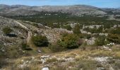 Trail Walking Courmes - St-Barnabé Circuit de Courmettes - Photo 2