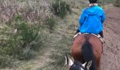 Percorso Cavallo Neufchâteau - Cousteumont - Hamipré par Marbay et Mon Idée  - Photo 6