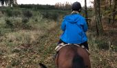 Excursión Caballo Neufchâteau - Cousteumont - Hamipré par Marbay et Mon Idée  - Photo 5