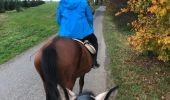 Excursión Caballo Neufchâteau - Cousteumont - Hamipré par Marbay et Mon Idée  - Photo 4