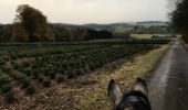 Tocht Paard Neufchâteau - Cousteumont - Hamipré par Marbay et Mon Idée  - Photo 3