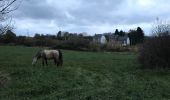 Excursión Caballo Neufchâteau - Cousteumont - Hamipré par Marbay et Mon Idée  - Photo 1