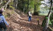 Trail Walking Favars - Autour de Favars - Photo 3