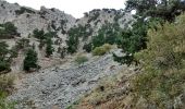 Tour Wandern Vraskás - gorges Imbros 30-10-2017 - Photo 3
