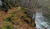 Randonnée Autre activité Dourbies - dourbies, dourbies par le saut de la chèvre - Photo 16