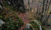 Tocht Andere activiteiten Dourbies - dourbies, dourbies par le saut de la chèvre - Photo 12