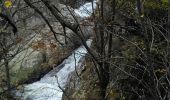 Excursión Otra actividad Dourbies - dourbies, dourbies par le saut de la chèvre - Photo 9