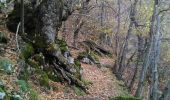 Randonnée Autre activité Dourbies - dourbies, dourbies par le saut de la chèvre - Photo 5